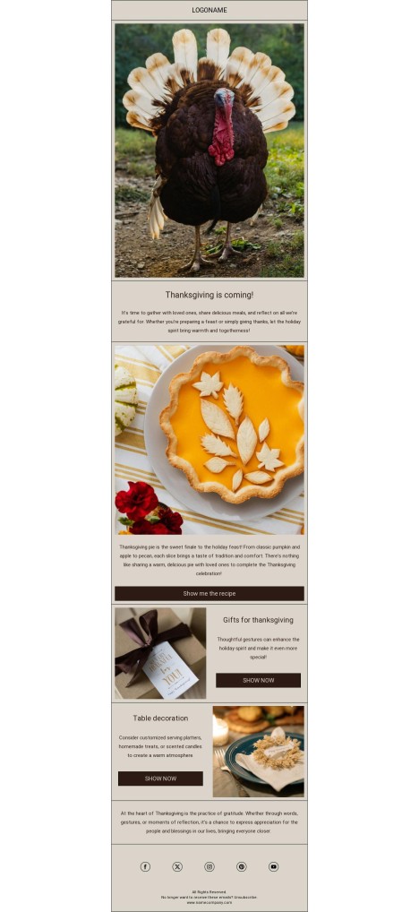 Email template preview of template: Thanksgiving is coming!