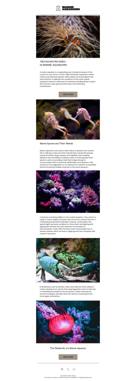 Email template preview of template: Marine aquariums